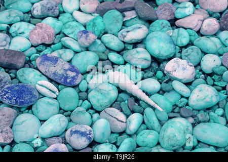 Pebble Stones Pfad mit kleinen Muscheln am Strand in Pastell-blaue Ton Stockfoto
