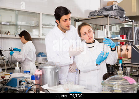 Portrait von Studenten die Prüfung chemischer Substanzen in Glas lab Kolben und Diskutieren bei der Durchführung von Experimenten im Labor der Universität Stockfoto