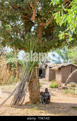 Malawischen Jungen unter einem Baum Verkauf von Zuckerrohr in einem Dorf in Malawi Stockfoto