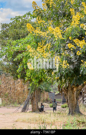 Malawischen Jungen unter einem Baum Verkauf von Zuckerrohr in einem Dorf in Malawi Stockfoto