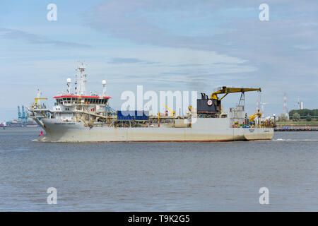 Kallo, Belgien - 12 August, 2018 ein Trailing Suction Hopper Schwimmbagger TSHD nähert sich der Hafen von Antwerpen Stockfoto