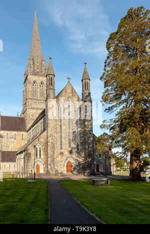 St. Mary's Cathedral in Killarney, County Kerry, Irland Stockfoto