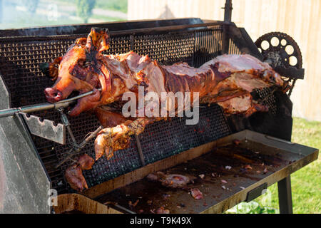 Ein Schwein gegrillt traditionelle Kohle und Feuer. Das kleine Schweinchen ist gebratene ganze auf einem offenen Feuer. Schwein am Spieß Spanferkel Grill Tradition in Österreich Stockfoto