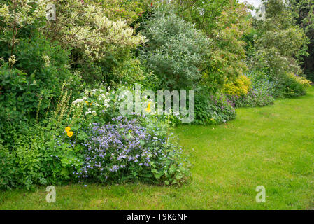 Englisches Cottage Garten Mitte Mai. Eine Fülle von informellen Anpflanzen von Sträuchern und Stauden. Stockfoto