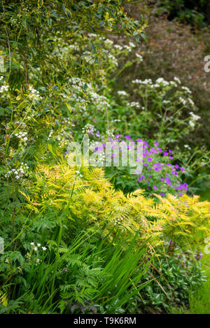 Englisches Cottage Garten Mitte Mai. Eine Fülle von informellen Anpflanzen von Sträuchern und Stauden. Stockfoto