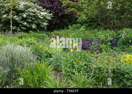 Englisches Cottage Garten Mitte Mai. Eine Fülle von informellen Anpflanzen von Sträuchern und Stauden. Stockfoto