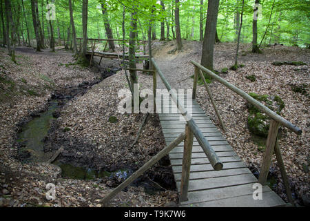 Holzbrücken über den stream Hasselbach an Wanderer trail Steckeschlääfer-Klamm, Binger Wald, Bingen am Rhein, Rheinland-Pfalz, Deutschland Stockfoto