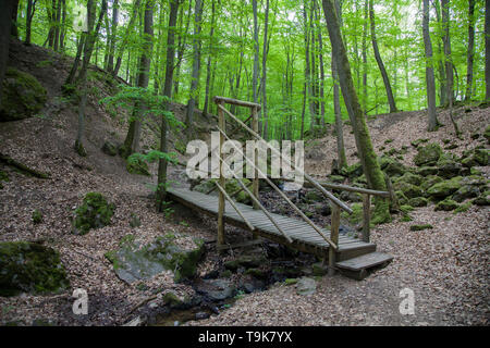 Holzbrücke über den Bach Hasselbach an Wanderer trail Steckeschlääfer-Klamm, Binger Wald, Bingen am Rhein, Rheinland-Pfalz, Deutschland Stockfoto