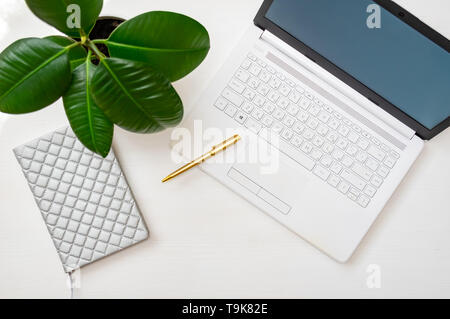 Schreibtisch mit einem weißen Laptops, Notebooks, Pen, Ficus in einem Topf. Home office Konzept. Ansicht von oben Stockfoto
