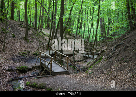 Holzbrücken über den stream Hasselbach an Wanderer trail Steckeschlääfer-Klamm, Binger Wald, Bingen am Rhein, Rheinland-Pfalz, Deutschland Stockfoto