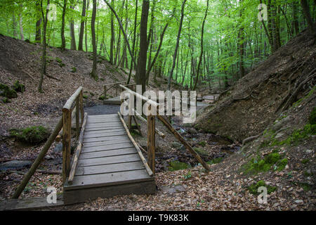 Holzbrücken über den stream Hasselbach an Wanderer trail Steckeschlääfer-Klamm, Binger Wald, Bingen am Rhein, Rheinland-Pfalz, Deutschland Stockfoto