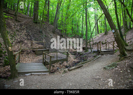 Holzbrücken über den stream Hasselbach an Wanderer trail Steckeschlääfer-Klamm, Binger Wald, Bingen am Rhein, Rheinland-Pfalz, Deutschland Stockfoto