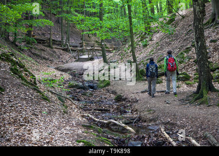 Wanderer am stream Hasselbach, Wanderer trail Steckeschlääfer-Klamm, Binger Wald, Bingen am Rhein, Rheinland-Pfalz, Deutschland Stockfoto