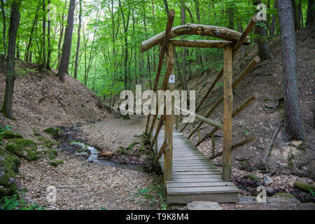 Holzbrücken über den stream Hasselbach an Wanderer trail Steckeschlääfer-Klamm, Binger Wald, Bingen am Rhein, Rheinland-Pfalz, Deutschland Stockfoto