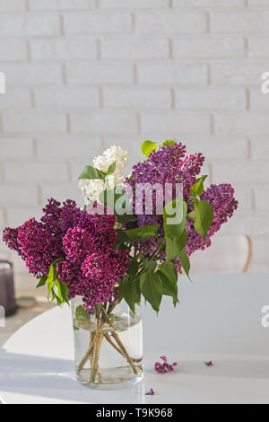 Strauß Flieder in glass vase stehend auf Kithen Tabelle an einem sonnigen Tag Stockfoto