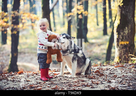 Freunde Kind und Husky spielen an der frischen Luft im Wald outdoor. Freunde Mädchen und Hund spielen im Herbst Wald Stockfoto