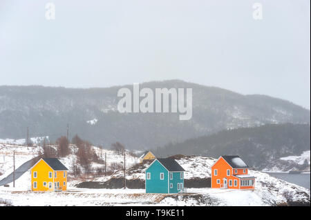 Bunte Häuser in der Dreiheit, Neufundland Stockfoto