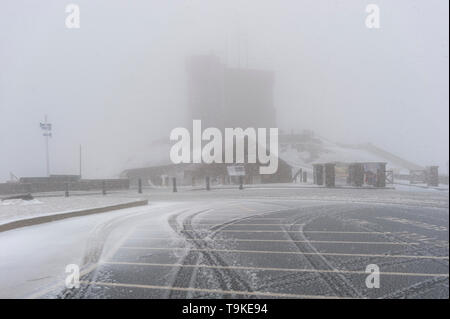 Nasser Schnee Sturm auf dem Signal Hill, St. John's Neufundland und Labrador Stockfoto