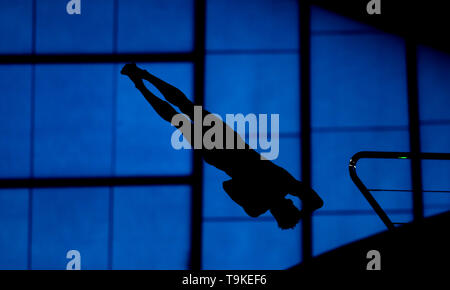 Silhouette der Taucher von der 10m-Plattform bei Tag drei der Diving World Series in London Aquatics Centre, London. Stockfoto