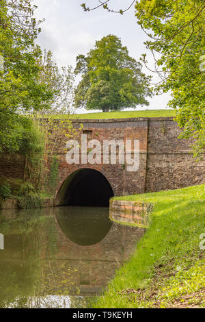 Nordportal des Crick tunnel im Grand Union Canal, Leicester Branche wider. Bäume flankieren den Tunnel Mund und einem ausgereiften Baum steht an der Spitze. Stockfoto