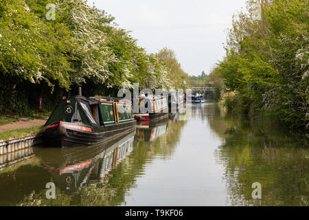 Narrowboats günstig entlang des Grand Union Canal in Bereitschaft für den Crick Boat Show, berechnet als Großbritannien der größte inländische Festival Wasserstraßen. Stockfoto