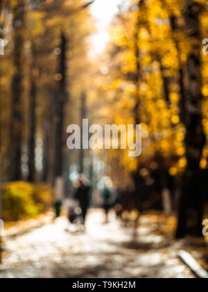 Herbst verschwommen Park. Schöne Unschärfe romantischen Gasse im Park mit Menschen Silhouetten im Gegenlicht. Herbst natürlichen Hintergrund. Fallen Laub, Herbst trail Landschaft, senkrecht. Kopieren Sie Platz für Text Stockfoto