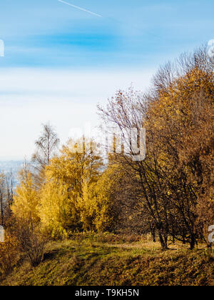 Herbst Park. Schöne romantische Gasse im Park mit bunten Bäumen und blauer Himmel. Herbst natürlichen Hintergrund. Fallen Laub, Herbst trail Landschaft, senkrecht. Kopieren Sie Platz für Text Stockfoto