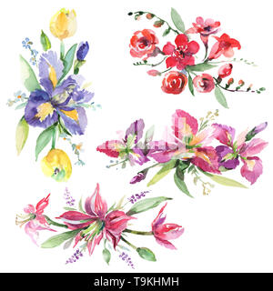 Blumenstrauß mit Iris Blumen botanischen Blumen. Aquarell Hintergrund gesetzt. Isolierte Blumensträuße Abbildung Element. Stockfoto
