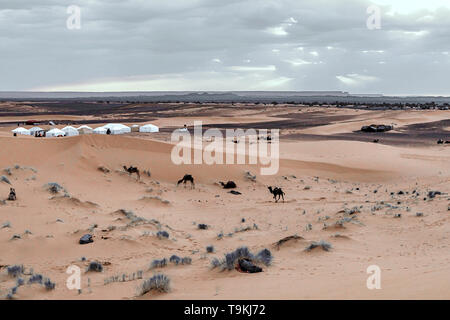 Sonnenaufgang in den westlichen Teil der Wüste Sahara in Marokko. Die Strahlen der Sonne durch die Wolken und heiligt den Campingplatz und Kamelen am Fuß Stockfoto