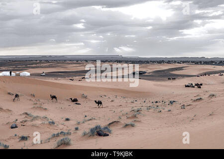 Sonnenaufgang in den westlichen Teil der Wüste Sahara in Marokko. Die Strahlen der Sonne durch die Wolken und heiligt den Campingplatz und Kamelen am Fuß Stockfoto