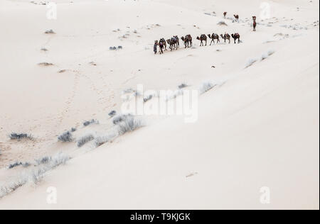 Wohnwagen durch die Sanddünen in der Wüste Sahara, Marokko Stockfoto