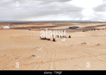 Sonnenaufgang in den westlichen Teil der Wüste Sahara in Marokko. Die Strahlen der Sonne durch die Wolken und heiligt den Campingplatz und Kamelen am Fuß Stockfoto