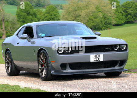 Ford Mustang Ankunft am Stonor Park für Supercar Sonntag, Henley-on-Thames, Großbritannien Stockfoto