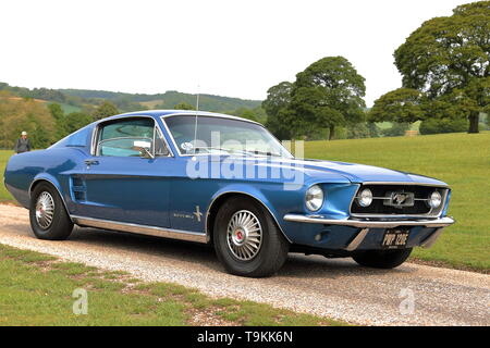 Ford Mustang Ankunft am Stonor Park für Supercar Sonntag, Henley-on-Thames, Großbritannien Stockfoto