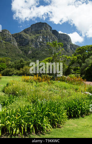 Tabelle Bergblick vom Botanischen Garten Kirstenbosch Stockfoto