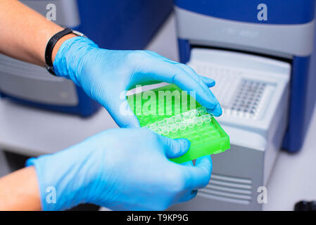 Dna Test im Labor. Der Techniker fügt das Röhrchen in die DNA-Analysator. Behandschuhten Händen hautnah. Stockfoto