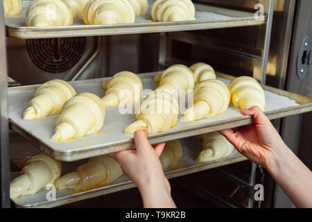 Weibliche Hände legen Sie das Backblech in den Backofen auf ein Blech. Der Prozess der Herstellung Croissants. Stockfoto