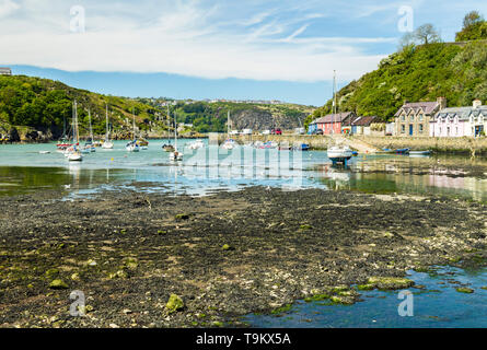 Dorf an der Küste von Abergwaun, auch als untere Fishguard bekannt. Berühmt für sein ein Ort für Unter Milch Holz Abergwaun ist auf der Pembrokeshire Coast. Stockfoto