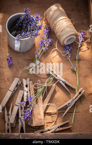 Homegrown lavendel Vorbereitung home Trocknung im Sommer Stockfoto