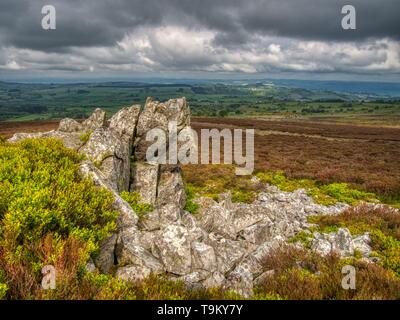 Dunkler Himmel über der Stiperstones, Shropshire, Großbritannien Stockfoto