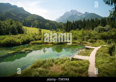 Kleinen See, die Quelle des Flusses Stockfoto