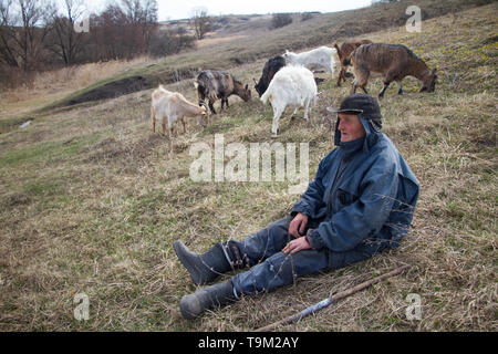 Ein alter Mann in unordentliche Kleidung sitzt auf einem Hügel und das Hüten der Herde seines eigenen Ziegen vor dem Hintergrund der Dürre Natur. Stockfoto