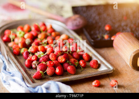 Frische Erdbeeren und Heidelbeeren auf Fächer, bis in der Nähe Stockfoto