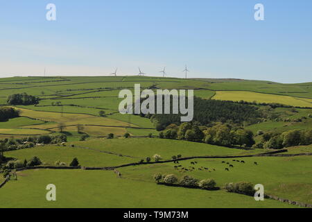 UK Ulverston, Cumbria. Panoramablick von hoad Hill Ulverston, Furness Halbinsel. Stockfoto