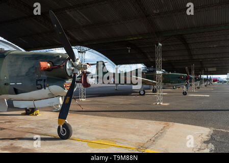 Embraer EMB 312 und 312A Flugzeuge aufgereiht an der Fuerza Aerea Paraguaya in Paraguay. Die Embraer EMB 312 Tucano (Über dieses soundpronunciation) ist Stockfoto