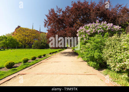 Stettin. Altstädter Ring und Park in der Altstadt Stockfoto