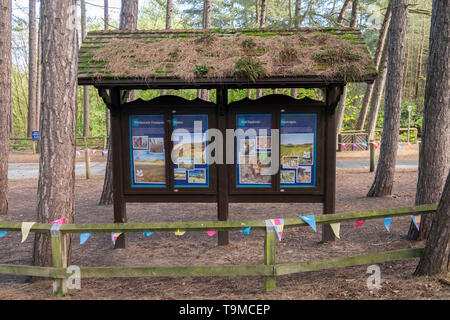 Touristische Information Board am roten Eichhörnchen finden Formby, Merseyside, England, Großbritannien Stockfoto