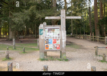 Holz- touristische Informationen Zeichen für Toiletten und Deer anzeigen, bei bolderwood Parkplatz, im New Forest, Hampshire, England, Großbritannien Stockfoto