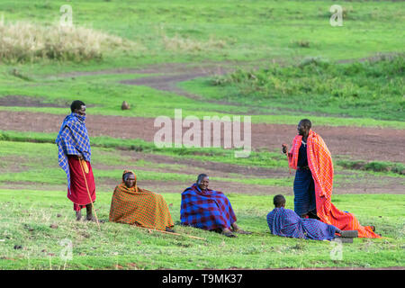 Maasai Krieger in ihren bunten Gewändern heraus hängen auf dem neuen Gras, Ngorongoro Conservation Area, Tansania Stockfoto