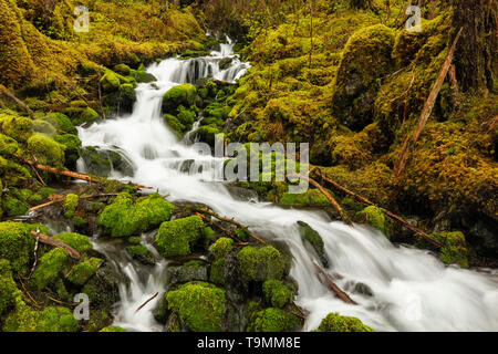 Kaskade von Wasser über Geröll und Moos aus Schnee im Frühjahr von der Chugach Mountains an der Grenze Eyak See in Southcentral Alaska schmelzen. Stockfoto